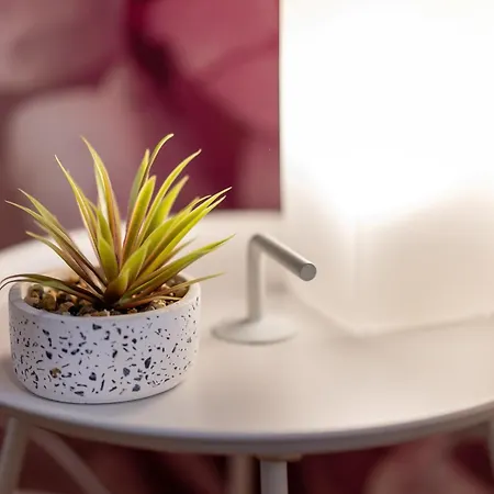 Aner 3 Deluxe Pepe *