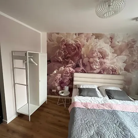 Aner 3 Deluxe Pepe ドレスデン