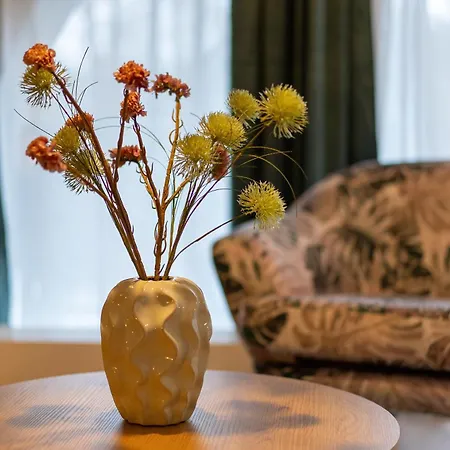 Aner 3 Deluxe Pepe דרזדן