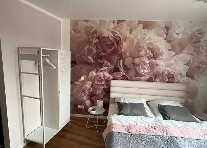 Aner 3 Deluxe Pepe Dresden