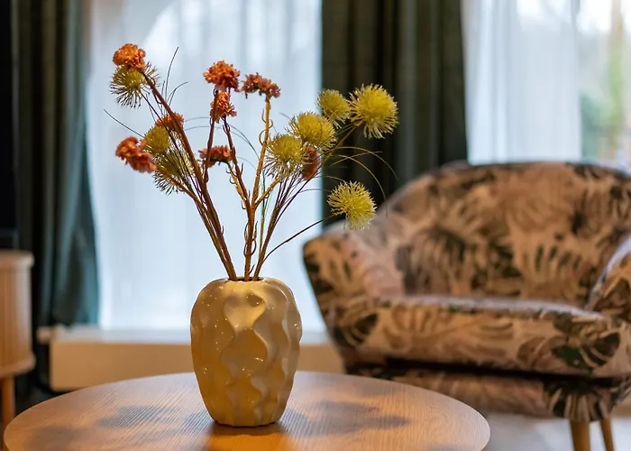 Aner 3 Deluxe Pepe 德累斯顿