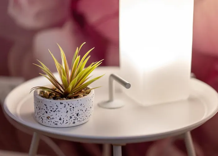 Aner 3 Deluxe Pepe *